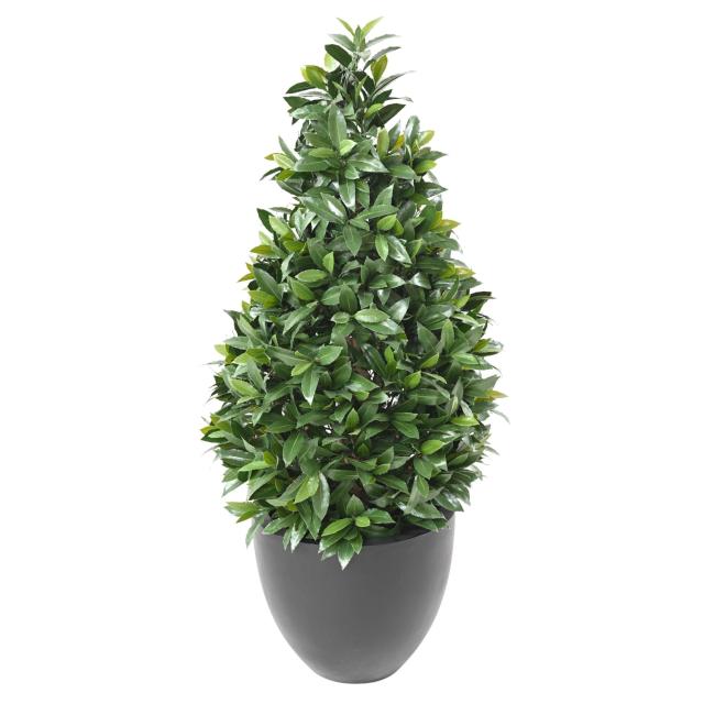 LAURIER NOBILIS Artificiel NEW CONE LARGE UV