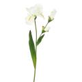 IRIS Artificiel