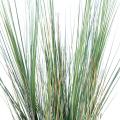 Onion Grass artificiel