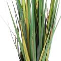 Onion Grass artificiel LARGE