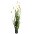 Foxtail artificiel GF