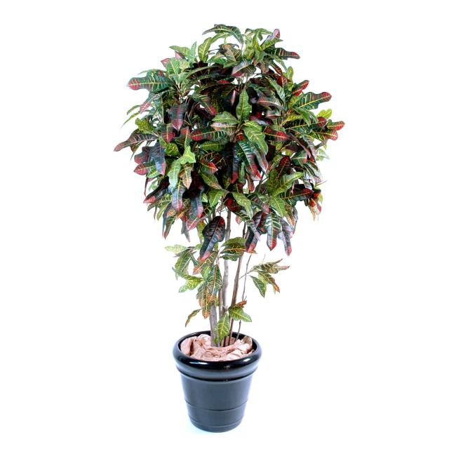 Croton artificiel