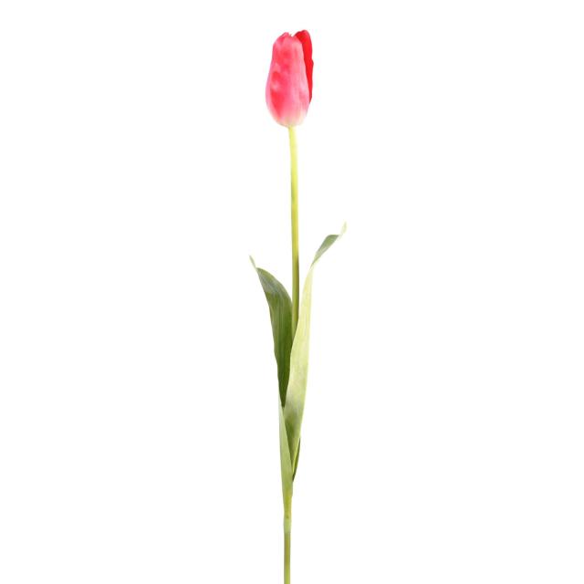 Tulipe artificielle