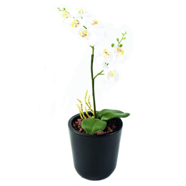 PHALAENOPSIS artificielle DOUBLE