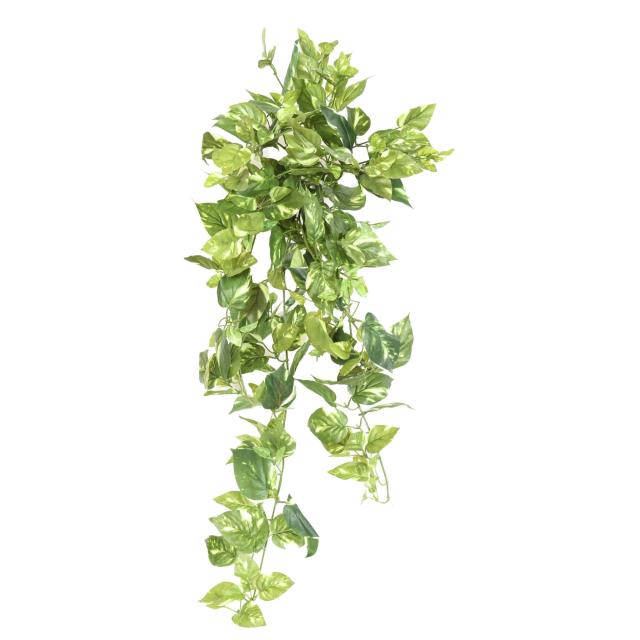 POTHOS Artificiel MINI CHUTE 80