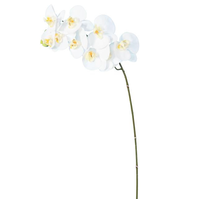 PHALAENOPSIS Artificielle TIGE