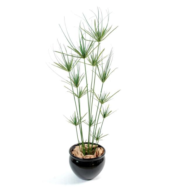 Papyrus artificiel