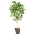 HETRE Artificiel GRANDIFOLIA 190