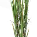 Canne à sucre artificielle