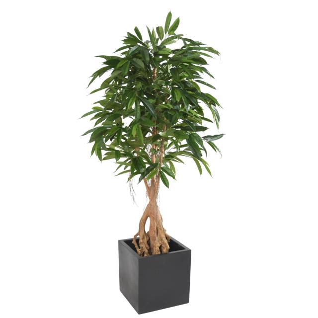 FICUS Artificiel ROOT LONGIFOLIA
