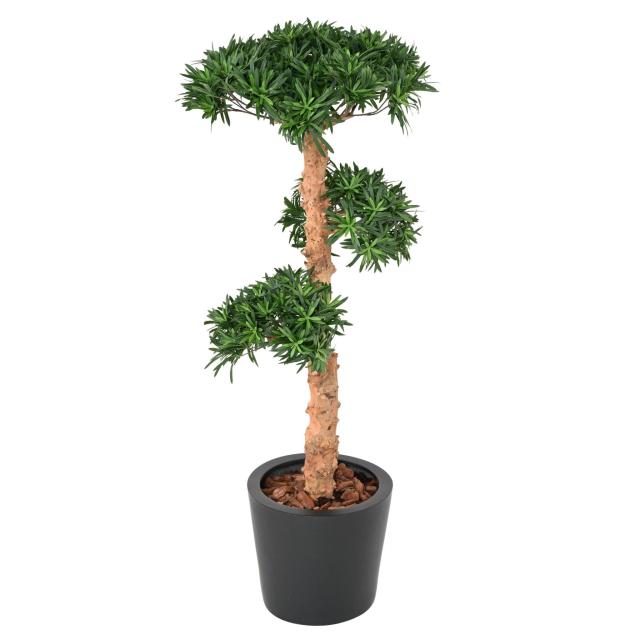 PODOCARPUS Artificiel NUAGE