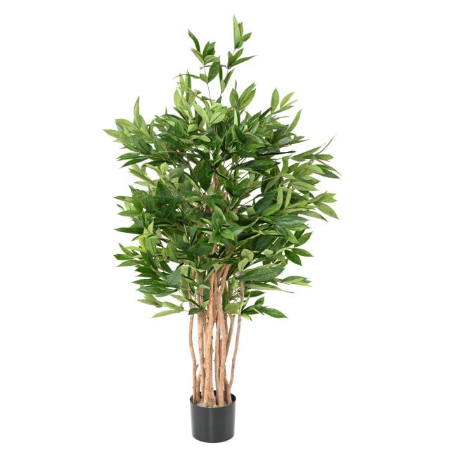 Dracaena Surculosa Artificiel Arbuste