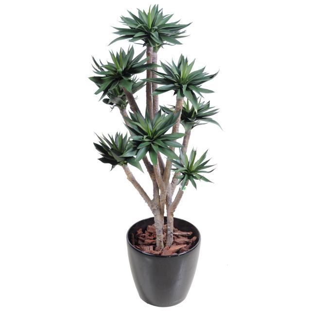 Agave artificielle *9