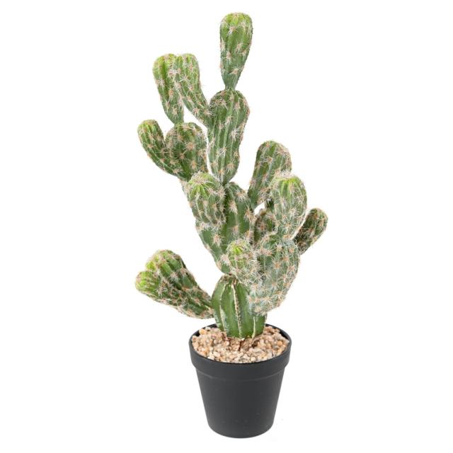 Cactus Echinocereus Artificiel