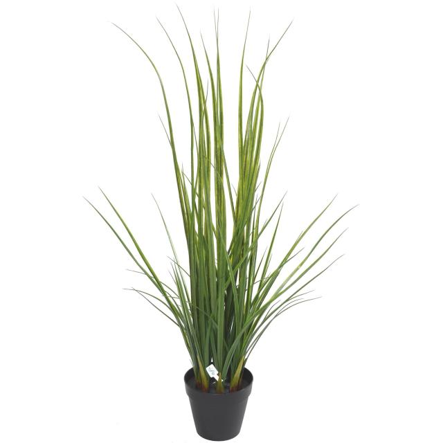 Lemon Grass Artificielle