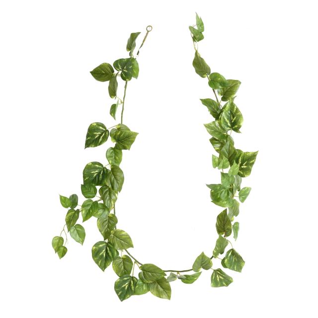 Pothos Guirlande Artificielle