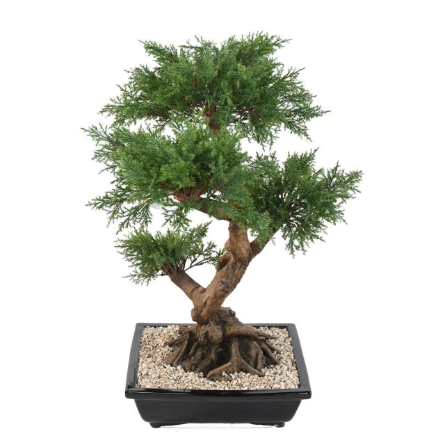 BONSAI JUNIPERUS ARTIFICIEL EN COUPE