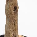 Oranger artificiel ARBRE