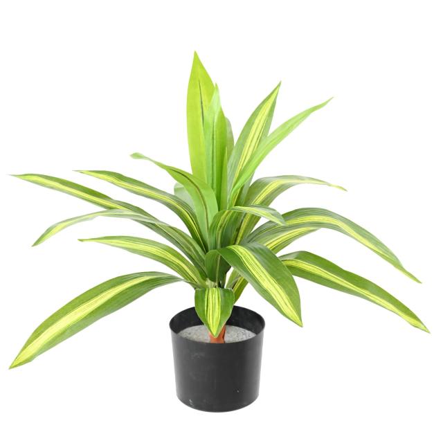 DRACAENA Artificiel LARGE