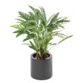 CALATHEA Artificiel 90CM en pot