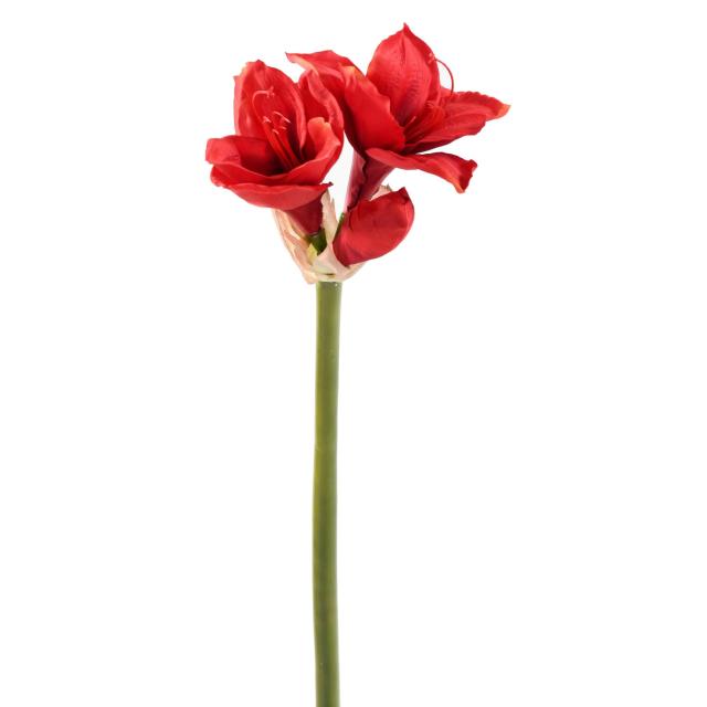Amaryllis artificielle tige