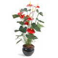 Anthurium artificiel *9