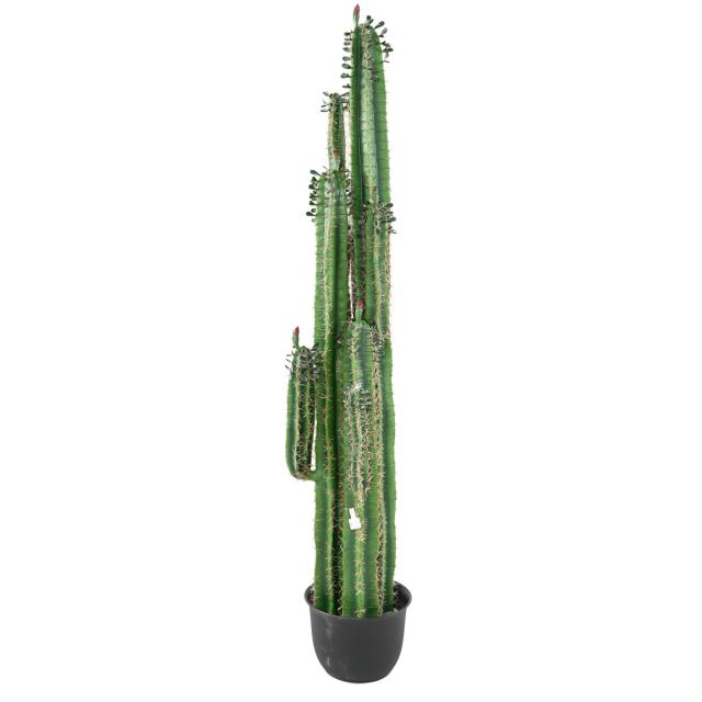 Cactus artificiel FINGER