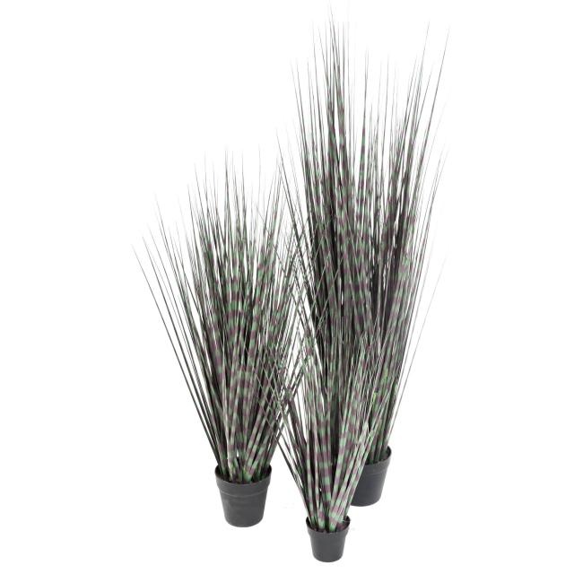 Miscanthus Zebrina Artificiel