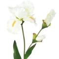 IRIS Artificiel