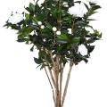 CAMELIA Artificiel JAPONICA DOUBLE NEW