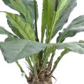 Anthurium artificiel jungle king