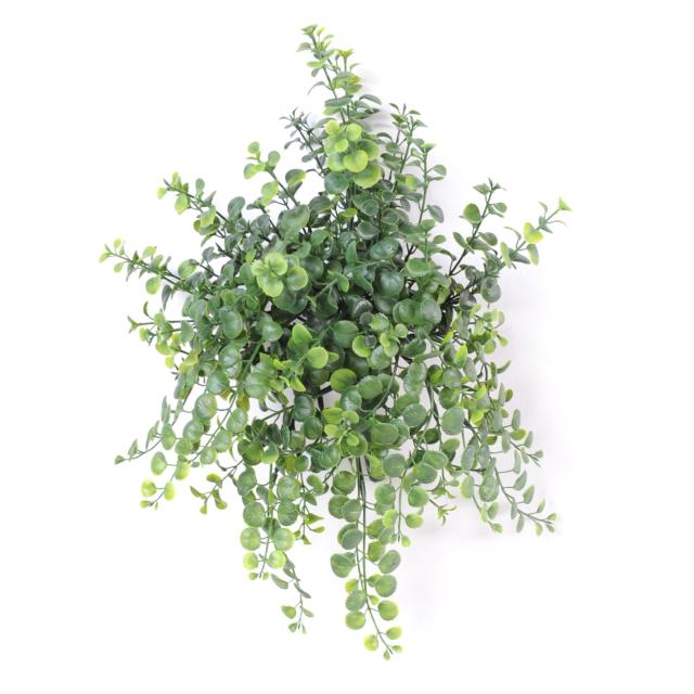 Peperomia artificiel CHUTE PLAST