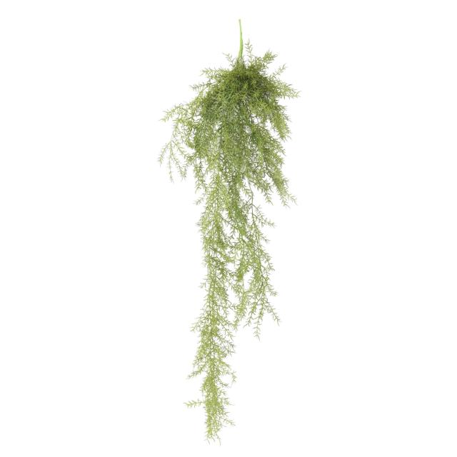 ASPARAGUS Artificiel FERN 120