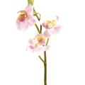 Phalaenopsis artificielle S