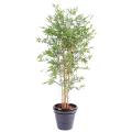 Bambou artificiel JAPANESE PLAST UV