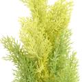Cypres artificiel MINI NEW