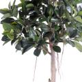 Rubbert plant tree artificiel