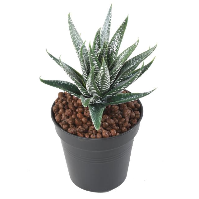 Aloe Vera Artificiel Panaché Piquet