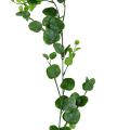 EUCALYPTUS Artificiel GUIRLANDE 160 cm