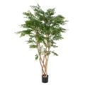 ACACIA Artificiel