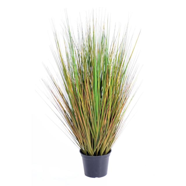 Onion Grass artificiel GF