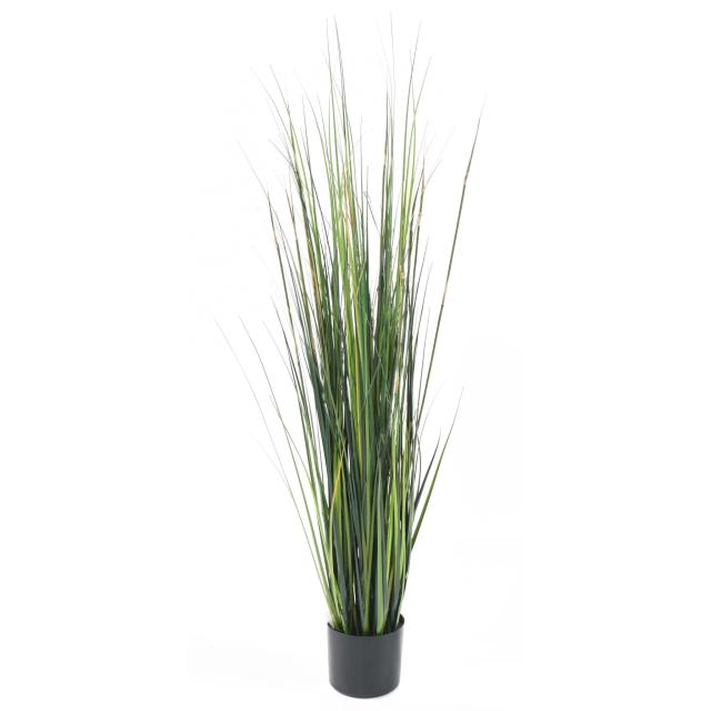 ONION GRASS artificiel BAMBOU