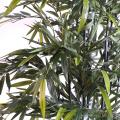 Bambou artificiel black natural nc