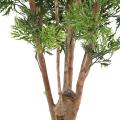 Aralia artificiel MING NITIDA TN UV
