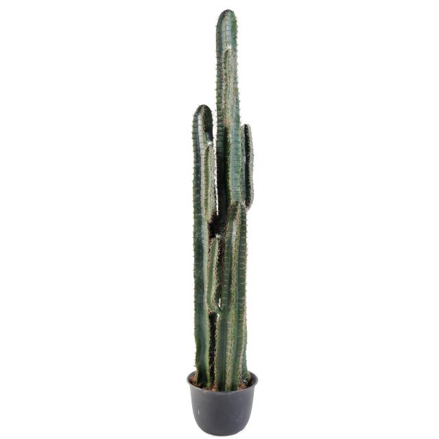 Cactus artificiel FINGER