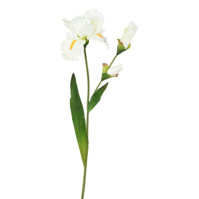 IRIS Artificiel