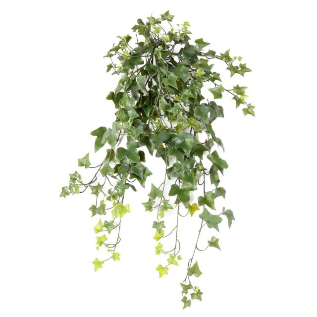 LIERRE *210 Artificiel UV