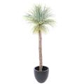 AGAVE Artificielle GEANT 240