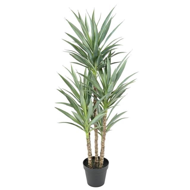 YUCCA Artificiel RAPIER