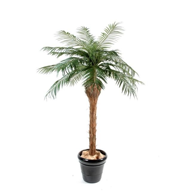 Palmier Phoenix Artificiel